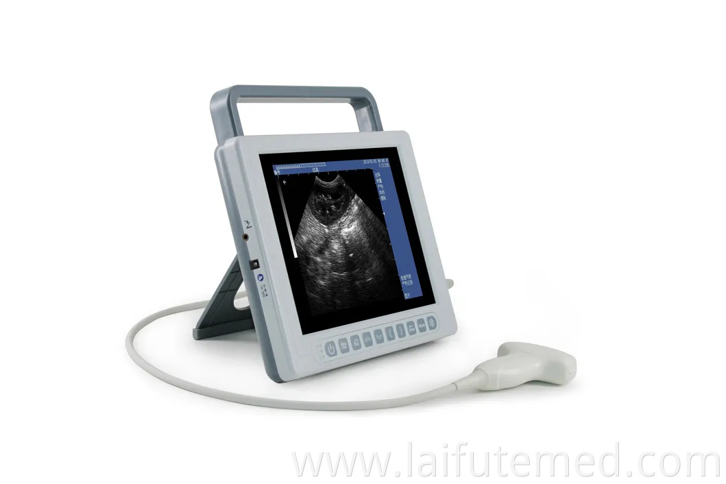 Portable Animal Veterinary Ultrasound for Medical Diagnostic Imaging Center Vet Using